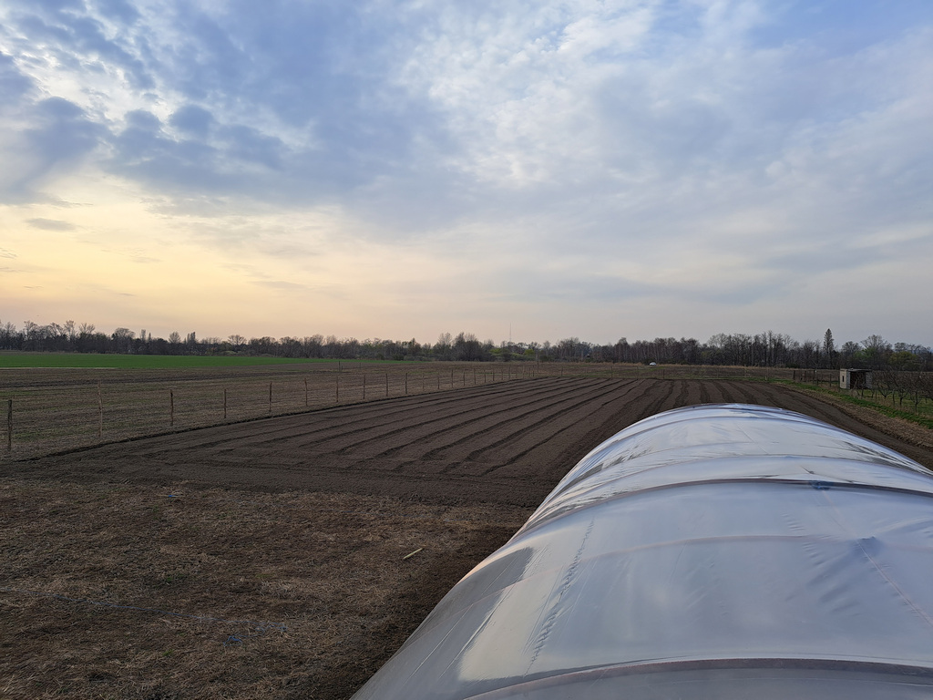 Biokertészet születik