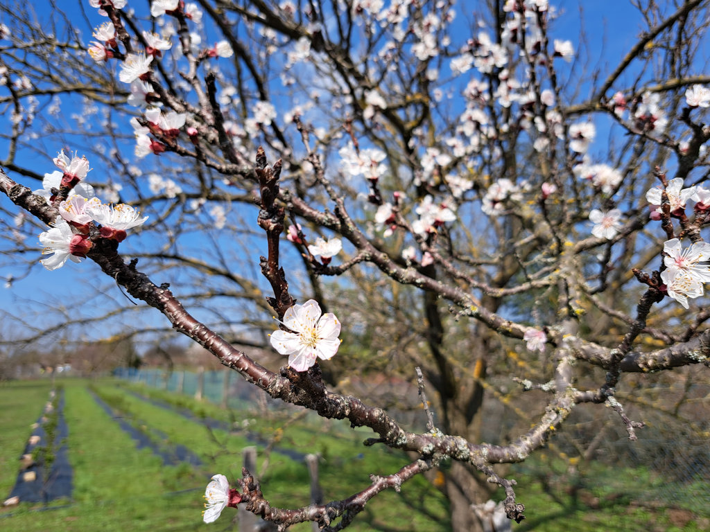 Látogatás a VirágosÉlet közösségi gazdaságban